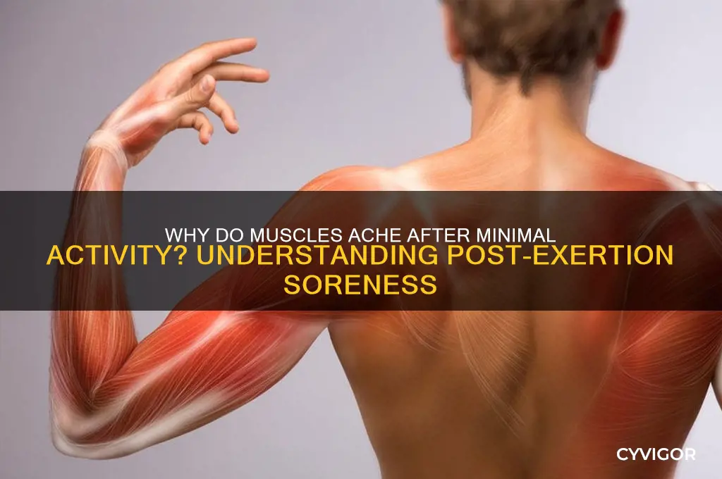 why are my muscles sore after minir activity