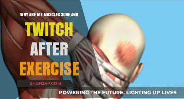 Muscle Soreness and Twitching After Exercise: Causes and Remedies