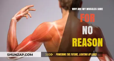 Unexplained Muscle Soreness: Causes and Remedies for Sudden Pain