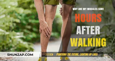 Post-Walk Muscle Soreness: Causes and Remedies Explained