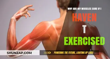 Unexplained Muscle Soreness: Causes When You Haven't Exercised