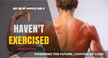 Unexplained Muscle Soreness: Causes Beyond Exercise and How to Relieve It