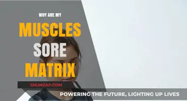 Why Muscles Ache: Unraveling the Matrix of Post-Workout Soreness