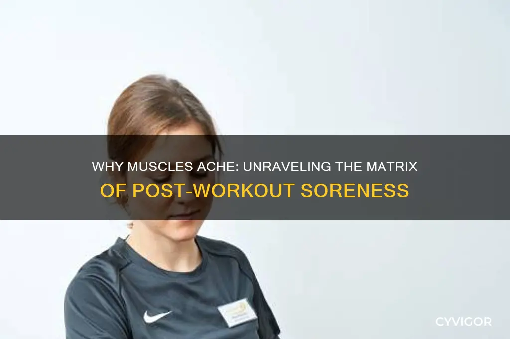 why are my muscles sore matrix