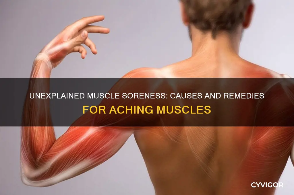 why are my muscles sore without doing anything