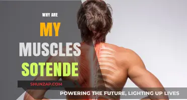 Muscle Soreness: Why It Happens and How to Prevent It