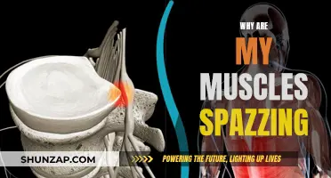 Muscle Spasms: Why They Happen and How to Stop Them