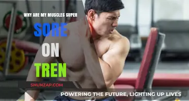 Tren-Induced Muscle Soreness: Causes, Remedies, and Recovery Strategies