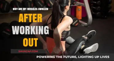 Post-Workout Muscle Swelling: Causes, Benefits, and Recovery Tips Explained