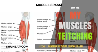 Muscle Twitching: What Your Body is Trying to Tell You