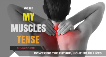 Muscle Tension: Why It Happens and How to Ease It