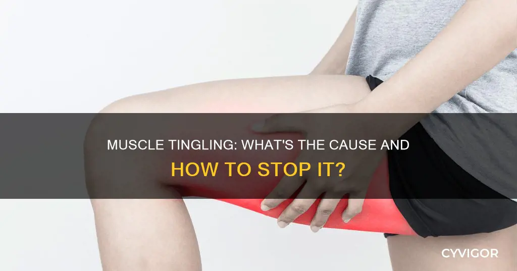 why are my muscles tingling