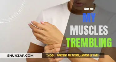 Understanding Muscle Tremors: Causes and Potential Solutions