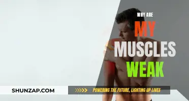 Understanding Muscle Weakness: What's Causing My Weak Muscles?