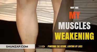 Understanding Muscle Weakness: What's Behind the Loss of Strength