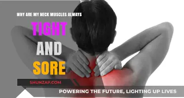 Neck Pain Explained: Causes of Chronic Tightness and Soreness