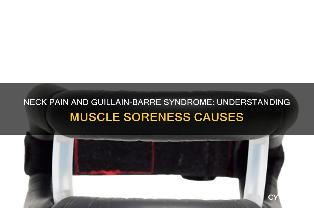 why are my neck muscles so sore guillain barre syndrome