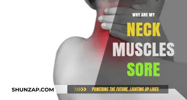 Neck Pain Explained: Causes of Sore Neck Muscles and Relief Tips