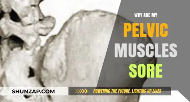 Understanding Pelvic Muscle Soreness: Causes, Remedies, and Prevention Tips