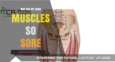 Why Quad Muscles Ache: Causes and Remedies for Sore Thighs