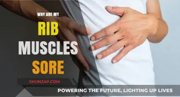 Why Rib Muscles Ache: Causes, Remedies, and Prevention Tips
