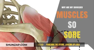 Why Your Shoulder Muscles Are Sore: Causes and Relief Tips