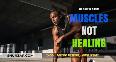 Why Sore Muscles Persist: Uncovering Healing Delays and Solutions