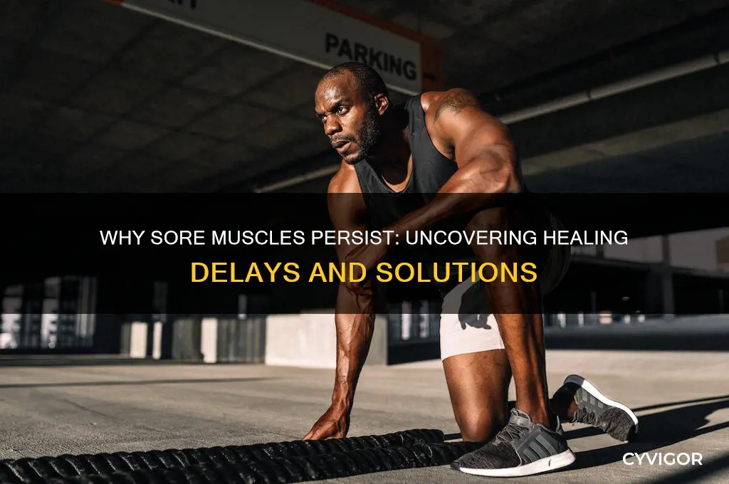 why are my sore muscles not healing