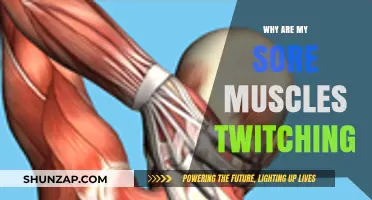 Why Do Sore Muscles Twitch? Understanding Post-Workout Muscle Spasms