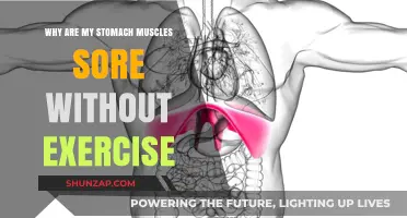 Unexplained Stomach Muscle Soreness: Causes and Remedies Explained