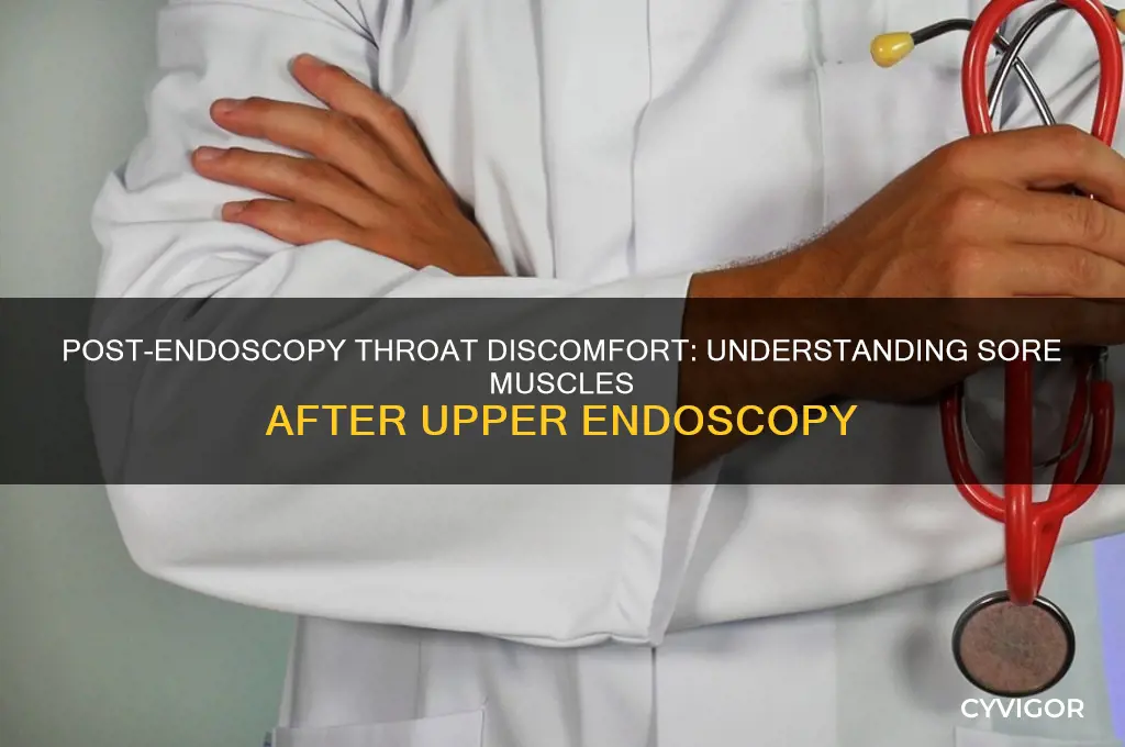 why are my throat muscles sore after an upper endoscopy