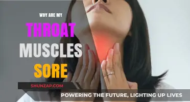 Sore Throat Muscles: Causes, Remedies, and When to Seek Help