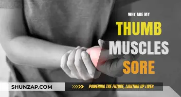 Thumb Muscle Soreness: Causes, Prevention, and Quick Relief Tips