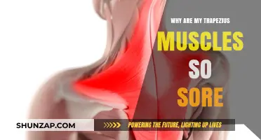 Sore Trapezius Muscles: Causes, Prevention, and Relief Strategies Explained