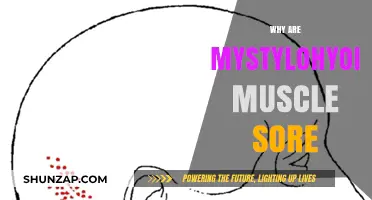 Understanding Mylohyoid Muscle Soreness: Causes, Symptoms, and Relief Tips