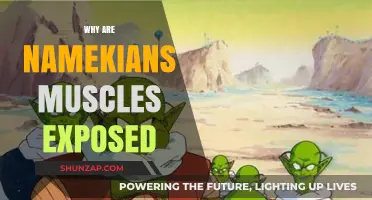 The Namekians: Muscles and their Uncovered Power