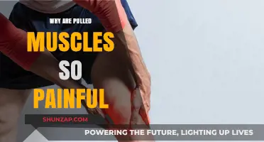 Understanding the Agonizing Pain of Pulled Muscles: Causes and Relief