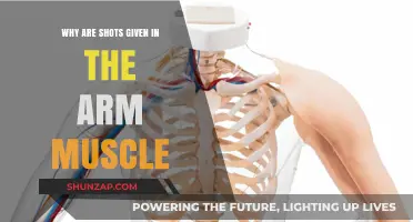 Why Arm Muscles Are Ideal for Administering Shots and Vaccines