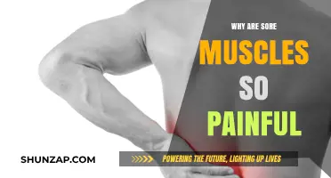 Why Sore Muscles Hurt: Understanding Delayed Onset Muscle Soreness