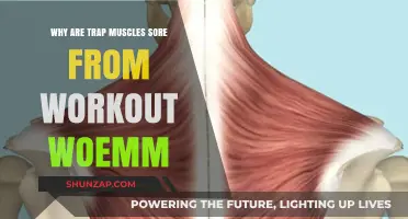 Trap Muscle Soreness: Causes and Remedies After Intense Workouts