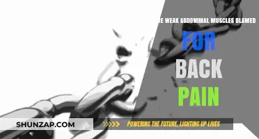 Weak Abs, Aching Back: Unraveling the Core-Pain Connection
