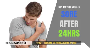 Delayed Muscle Soreness: Understanding 24-Hour Post-Workout Pain Causes