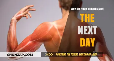 Why Muscles Ache Post-Workout: Unraveling Next-Day Soreness Causes