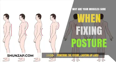 Posture Correction and Muscle Soreness: Understanding the Connection and Relief