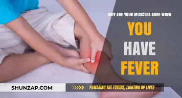 Fever and Muscle Pain: Understanding the Connection and Causes