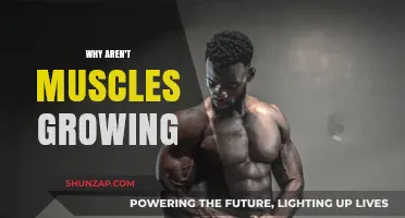 Unlocking Muscle Growth: Common Mistakes Hindering Your Progress