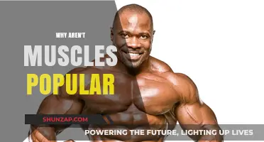 Muscle Power: Why Aren't They Popular?
