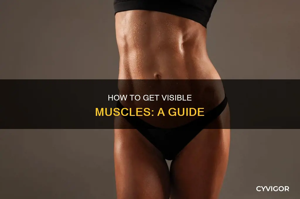why arentmy muscles visible