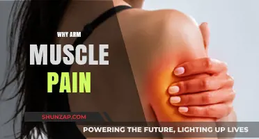 Understanding Arm Muscle Pain: Causes, Prevention, and Effective Relief Strategies
