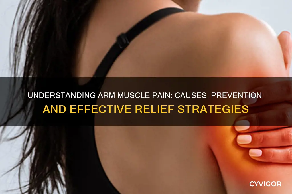 why arm muscle pain